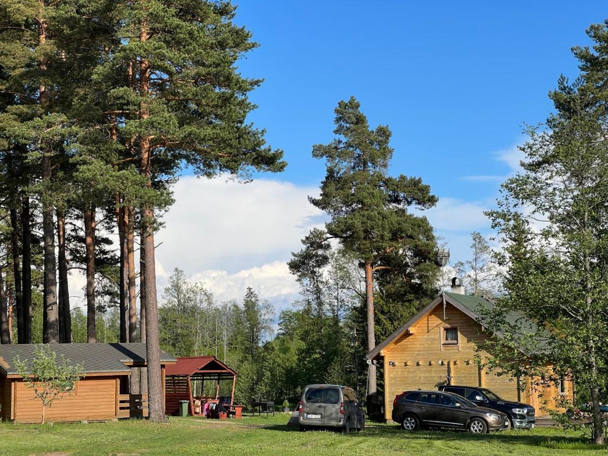 Arturi Maja Saunaga Villa Romeda Bagian luar foto