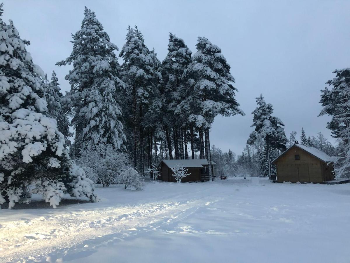 Arturi Maja Saunaga Villa Romeda Bagian luar foto